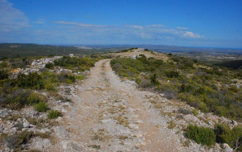 Location de vacances - Gîte à Portel-des-Corbières
