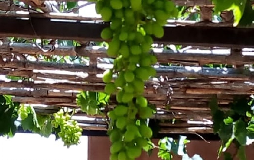 Location de vacances - Chambre d'hôtes à Oulad Snaguia