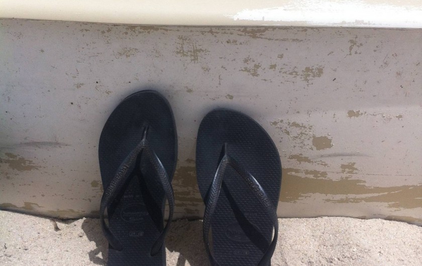 Location de vacances - Mas à Sainte-Marine - Bonnes Vacances  Nature préservée, lumières d'exception, poissons ultra frais..