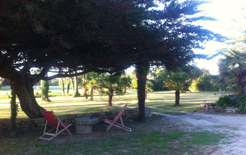 Location de vacances - Mas à Sainte-Marine - vue du parc