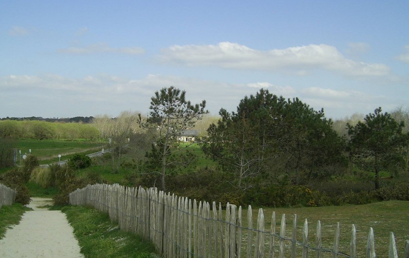 Location de vacances - Mas à Sainte-Marine - La maison vue du haut de la dune et de la plage