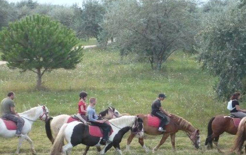 Location de vacances - Villa à Sainte-Marie