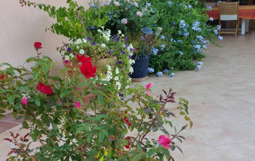 Location de vacances - Chambre d'hôtes à Cotignac