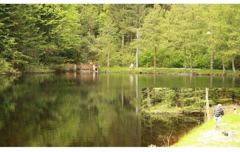 Location de vacances - Bungalow - Mobilhome à Granges-sur-Vologne