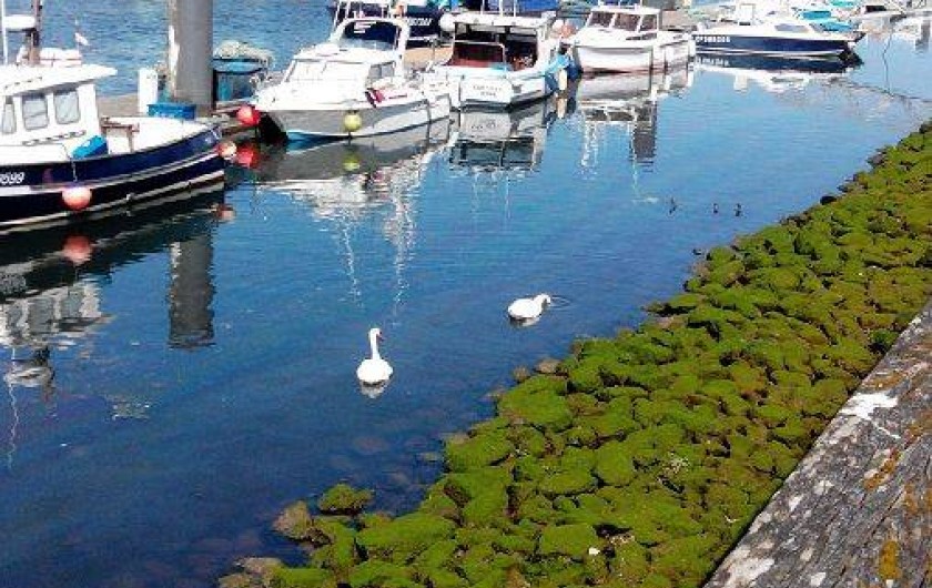 Location de vacances - Appartement à Le Tréport