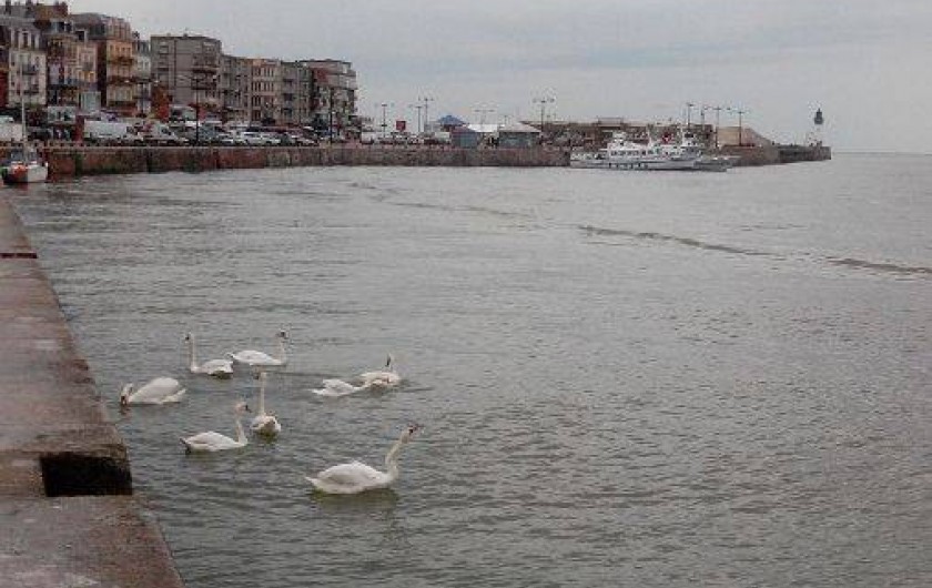 Location de vacances - Appartement à Le Tréport