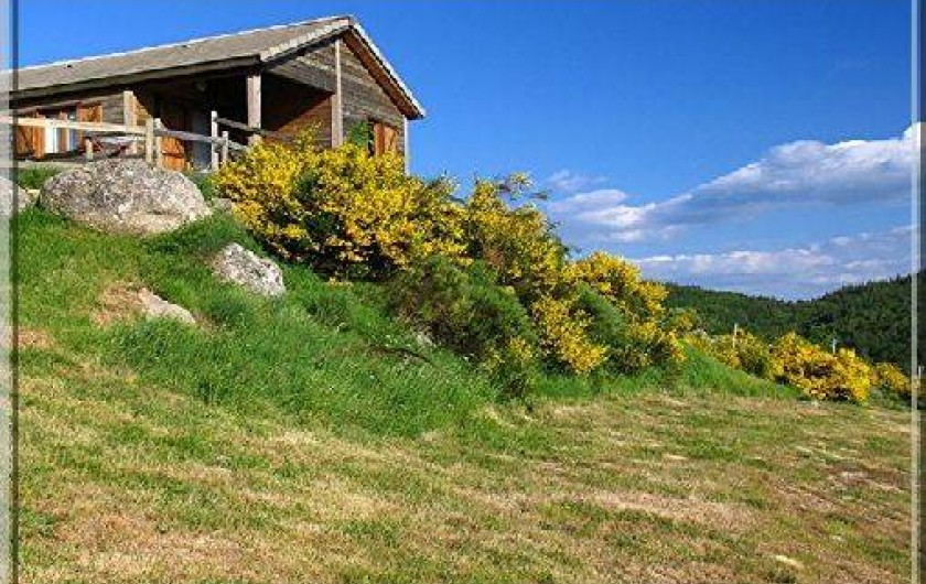 Location de vacances - Gîte à Le Pont-de-Montvert - Vue Chalet Moyen