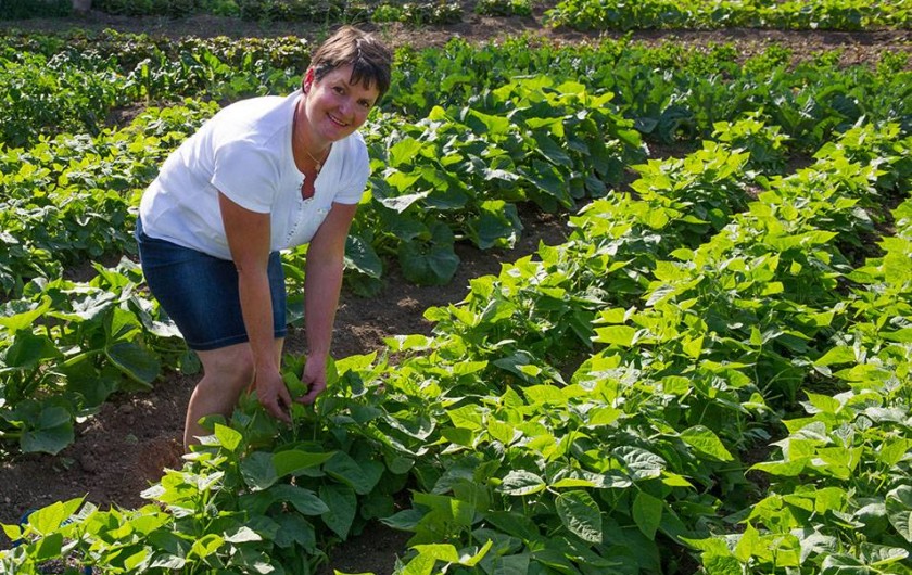 Location de vacances - Gîte à Le Pont-de-Montvert - Jardin