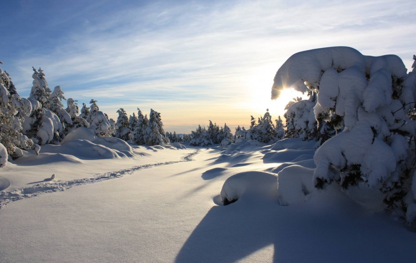 Location de vacances - Gîte à Le Pont-de-Montvert - Neige hiver