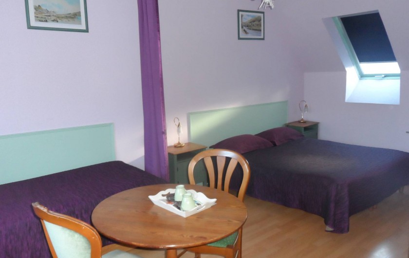 Location de vacances - Chambre d'hôtes à Plouguiel - Cormorans 1 lit double   et 1 lit simple, salle d'eau et wc