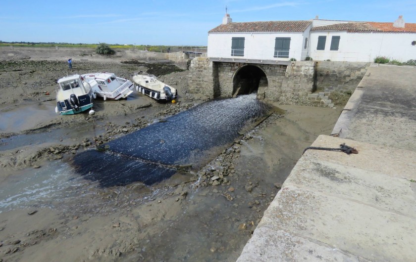 Location de vacances - Villa à Ars-en-Ré - Moulin à marée Loix en Ré