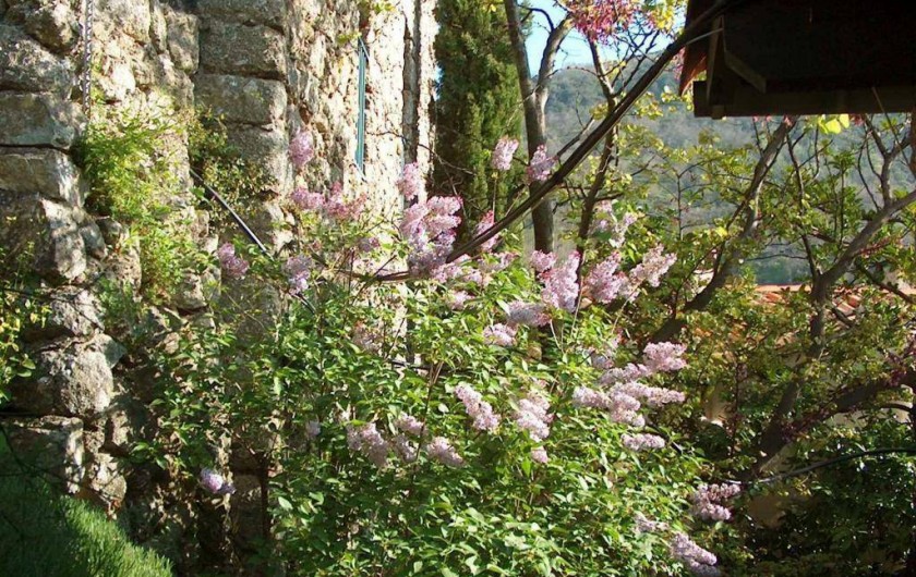 Location de vacances - Gîte à Valleraugue