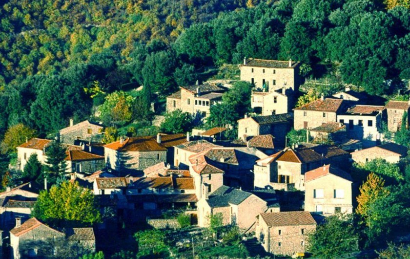 Location de vacances - Gîte à Valleraugue