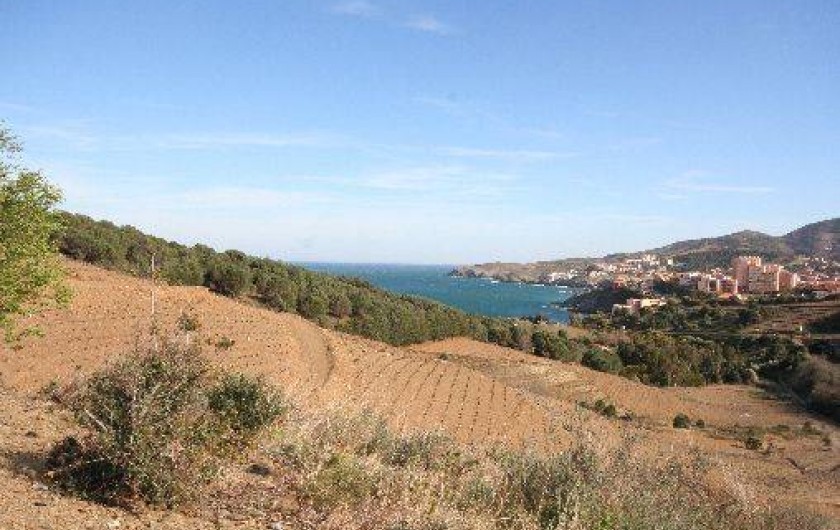 Location de vacances - Appartement à Banyuls-sur-Mer - Vue depuis les hauteurs