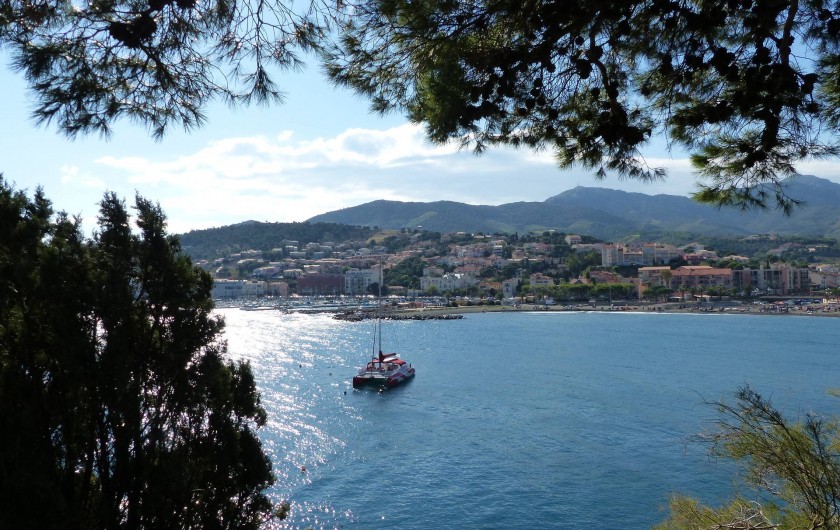 Location de vacances - Appartement à Banyuls-sur-Mer - Banyuls et son port