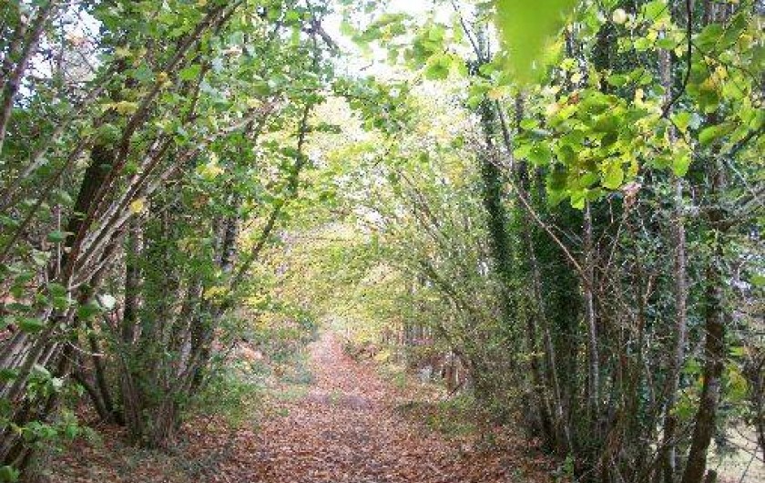 Location de vacances - Gîte à Jumilhac-le-Grand