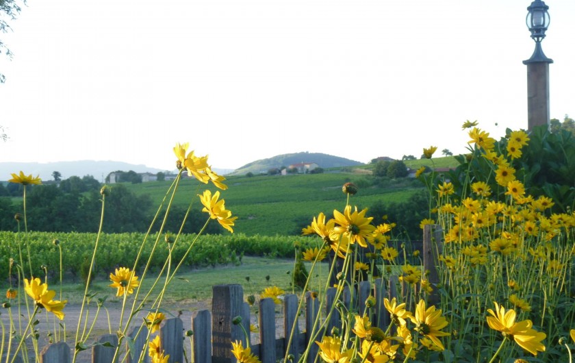 Location de vacances - Maison - Villa à Saint-Étienne-des-Oullières - View from the garden across the property playing field