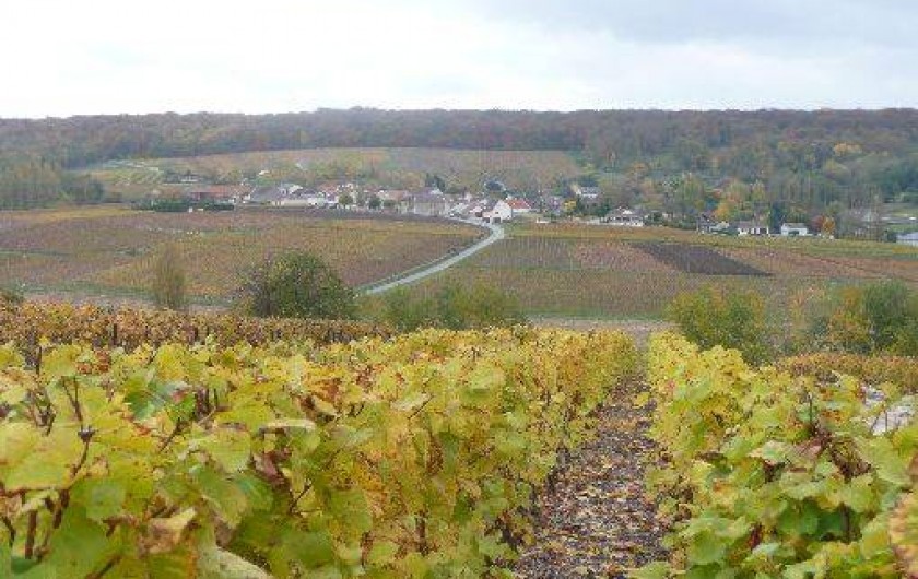Location de vacances - Roulotte à Romery
