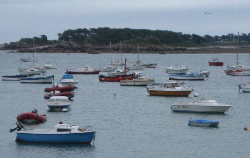 Location de vacances - Maison - Villa à Penvénan