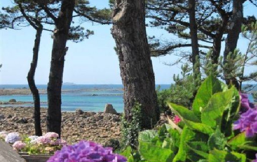 Location de vacances - Maison - Villa à Penvénan