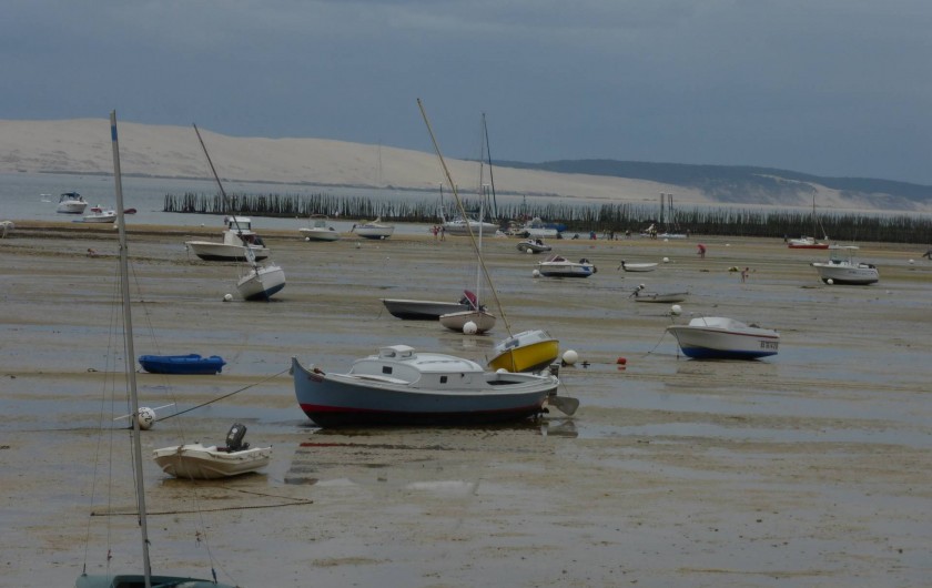 Location de vacances - Chambre d'hôtes à Lanton