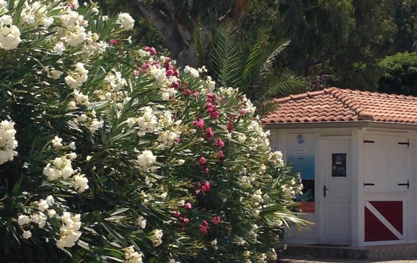 Location de vacances - Bungalow - Mobilhome à Monforte San Giorgio