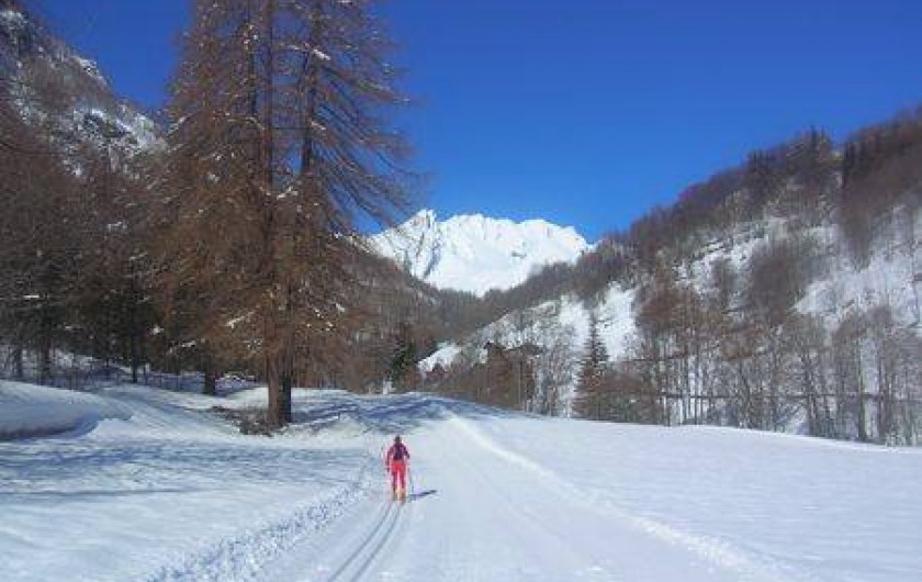 Location de vacances - Maison - Villa à Fiou