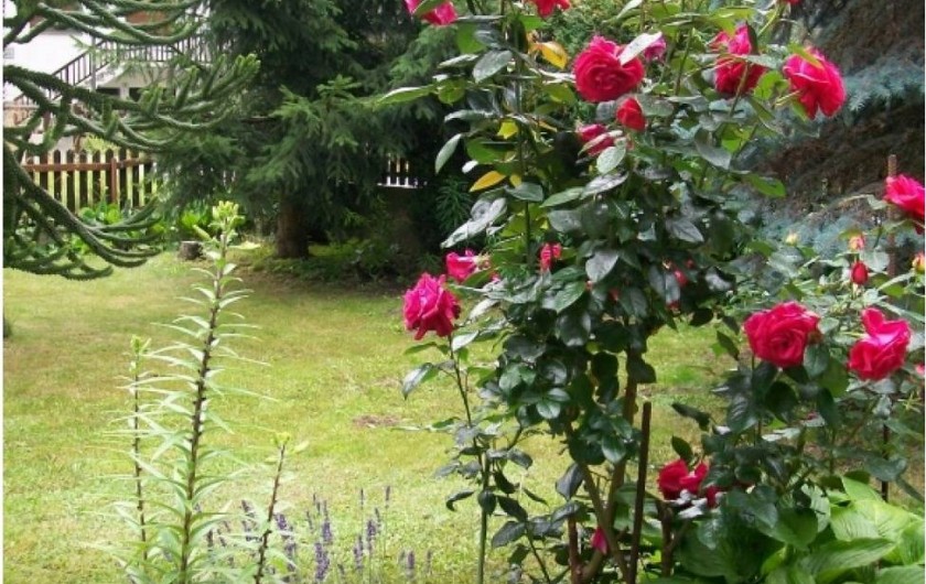 Location de vacances - Maison - Villa à Aymavilles