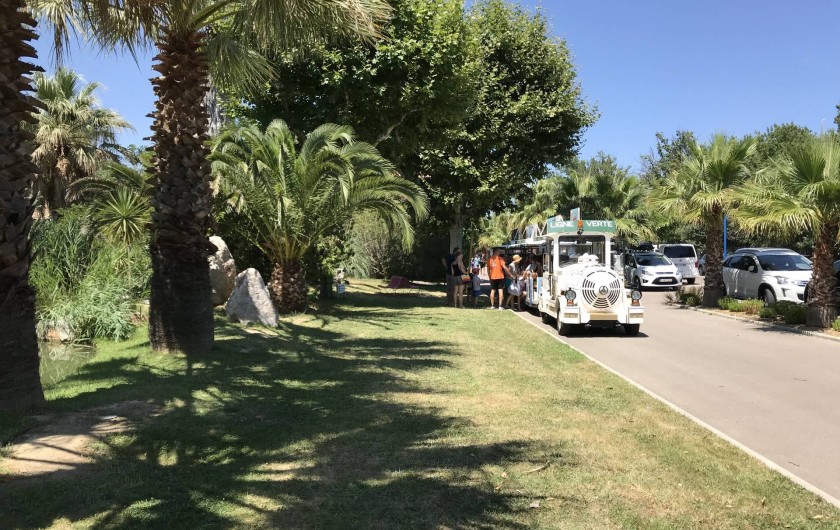 Location de vacances - Camping à Argelès-sur-Mer