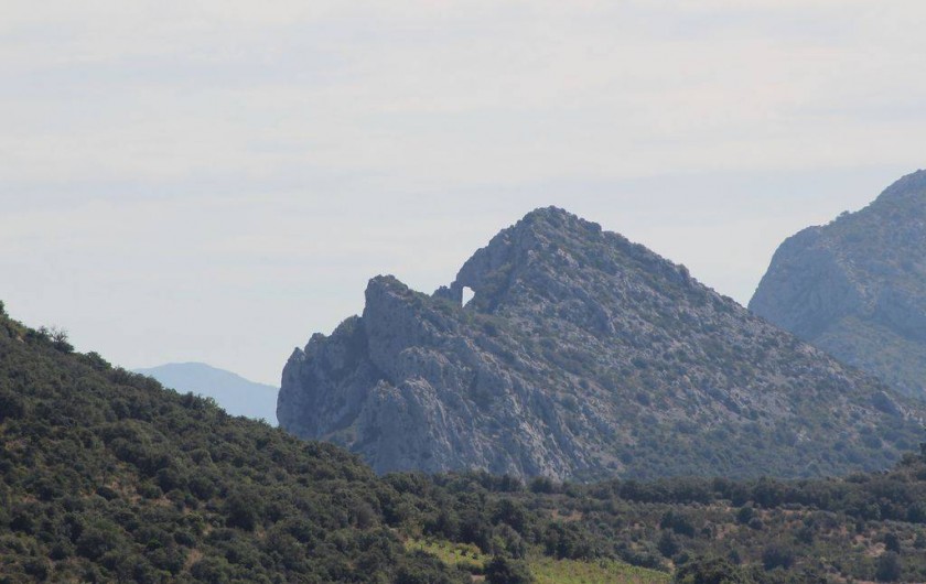 Location de vacances - Appartement à Canet-en-Roussillon - PAYSAGE TYPIQUE DES CORBIERES
