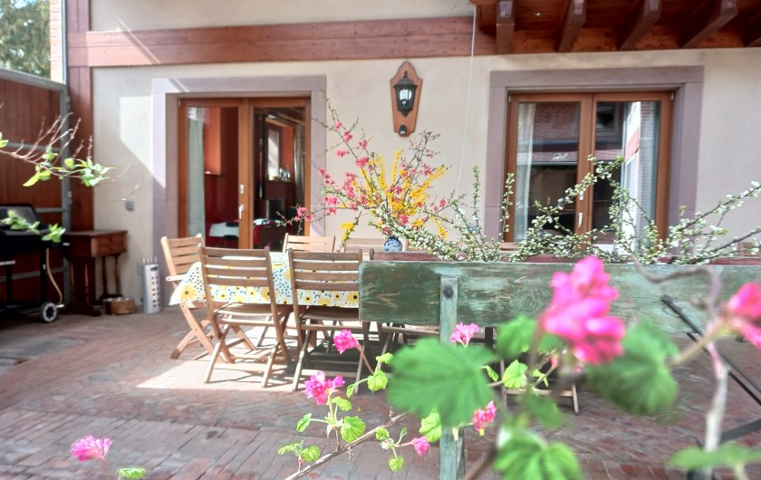 Location de vacances - Gîte à Mittelhausen - Cour