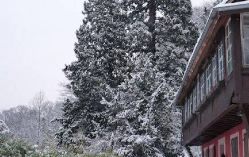 Location de vacances - Appartement à Munster