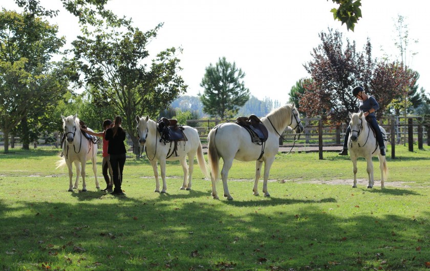 Location de vacances - Appartement à Gallician