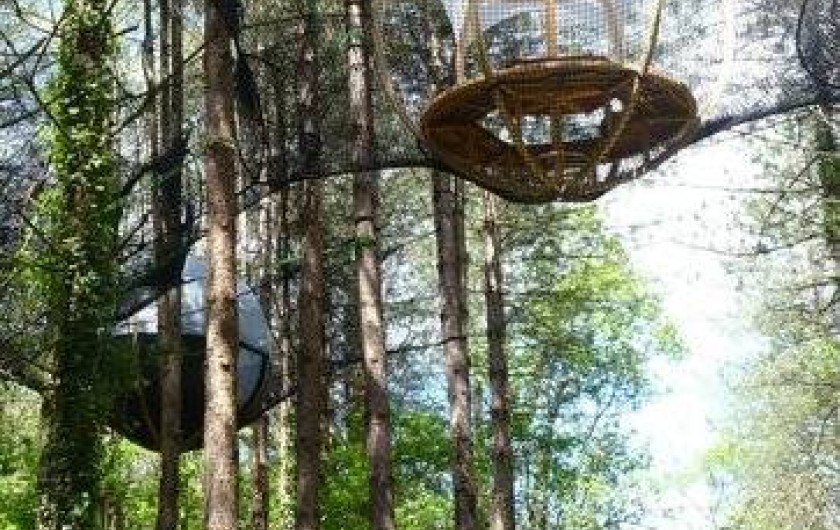Location de vacances - Cabane dans les arbres à Loubieng