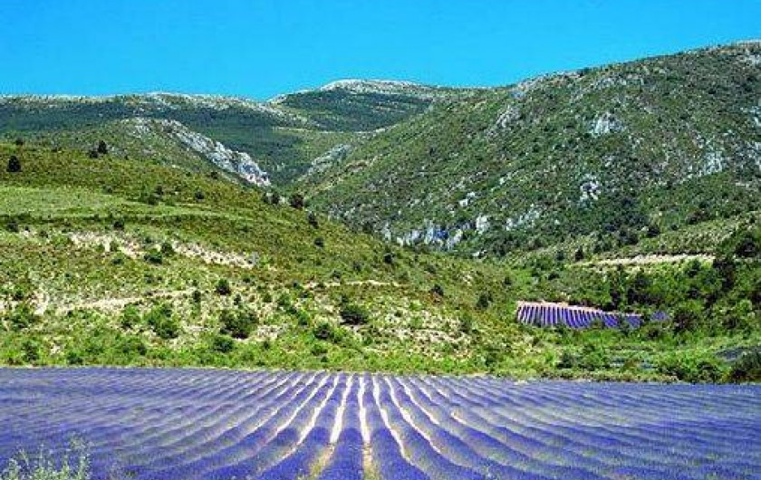 Location de vacances - Camping à Castellane