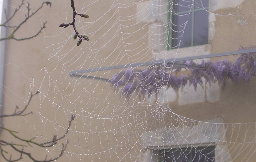 Location de vacances - Chambre d'hôtes à Grues