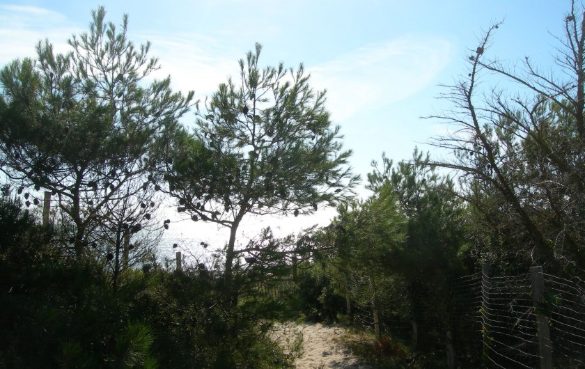 Location de vacances - Villa à La Couarde-sur-Mer