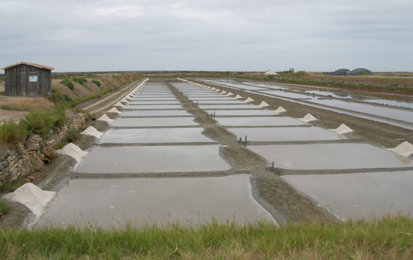 Location de vacances - Villa à La Couarde-sur-Mer