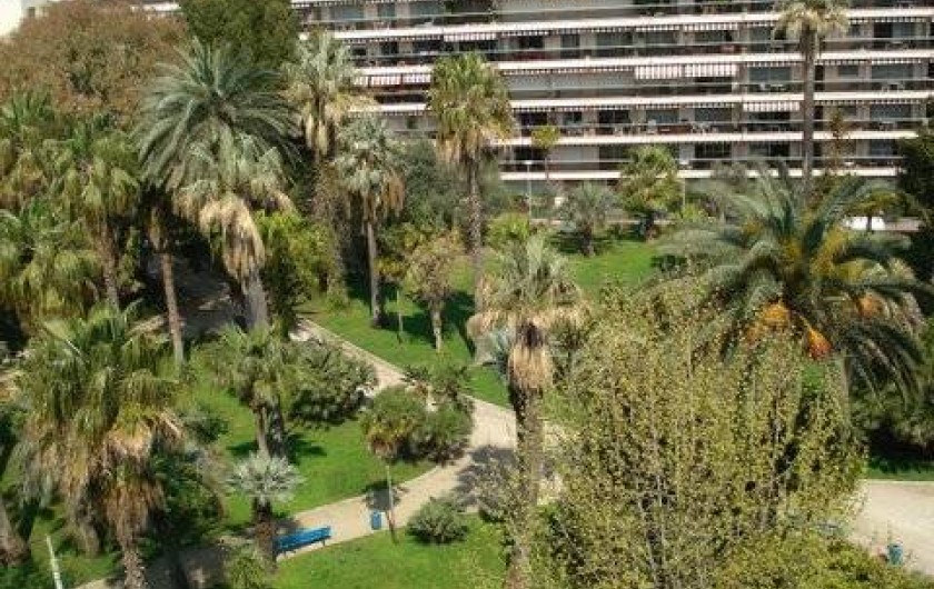 Location de vacances - Appartement à Juan les Pins - Jardin Pauline vu de la terrasse avant
