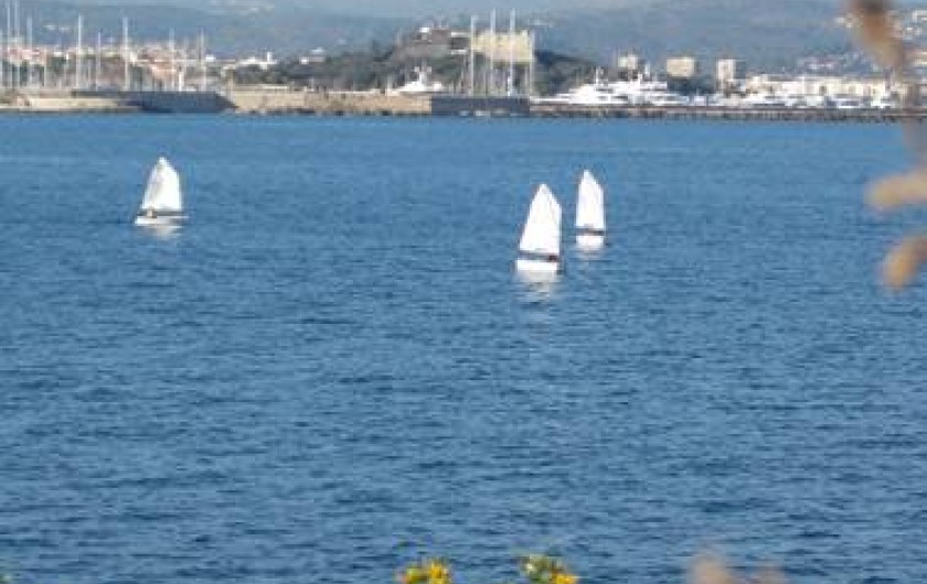 Location de vacances - Appartement à Juan les Pins - Antibes vu du Cap d'Antibes