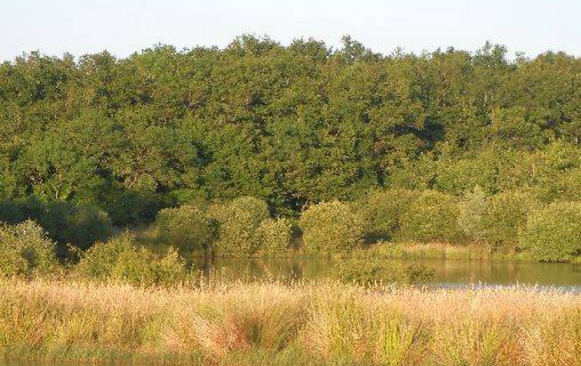 Location de vacances - Chambre d'hôtes à Châtillon-sur-Loire