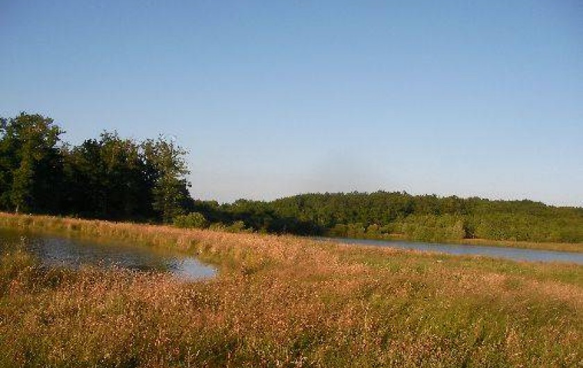 Location de vacances - Chambre d'hôtes à Châtillon-sur-Loire