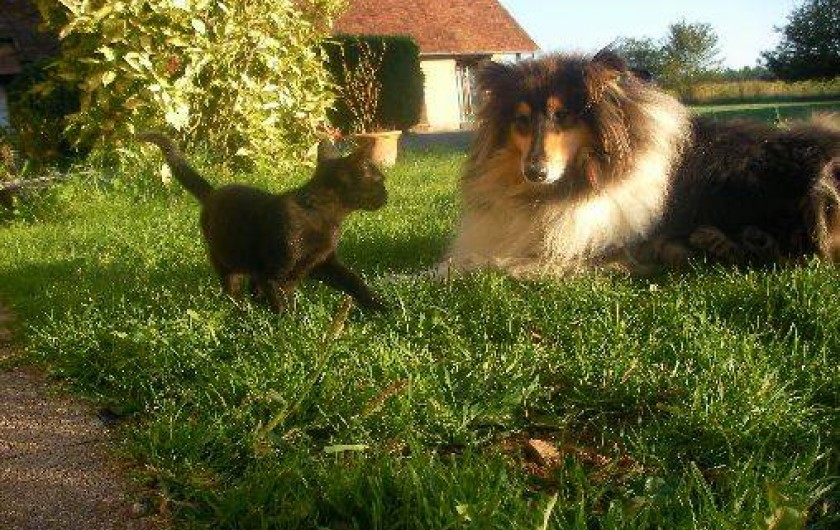 Location de vacances - Chambre d'hôtes à Châtillon-sur-Loire