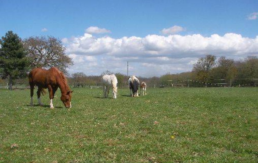 Location de vacances - Chambre d'hôtes à Châtillon-sur-Loire