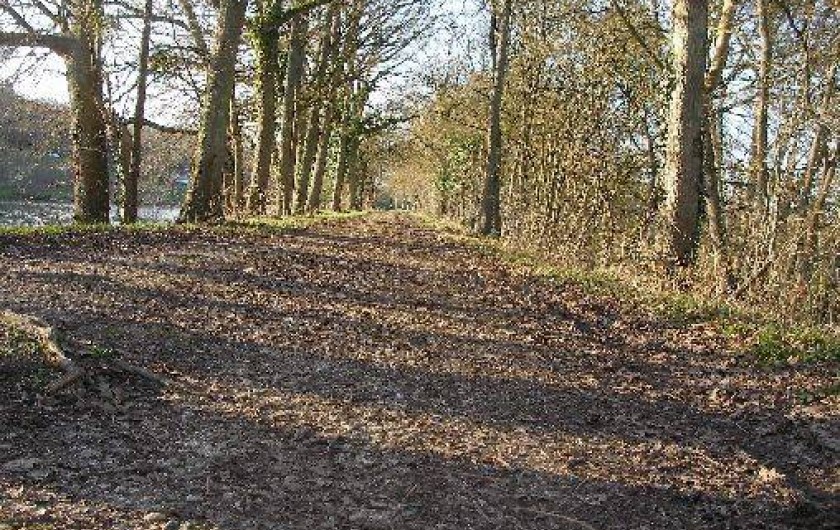 Location de vacances - Chambre d'hôtes à Châtillon-sur-Loire