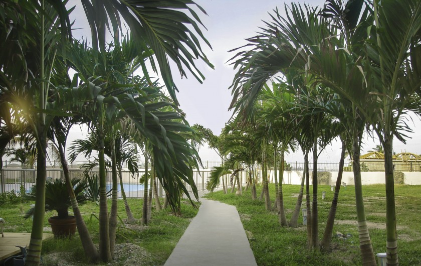 Location de vacances - Appartement à Saint-Martin