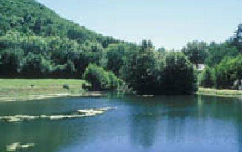 Location de vacances - Chalet à Murol