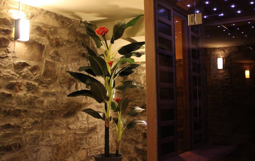 Location de vacances - Maison - Villa à Alsbach-Hähnlein - Cave sauna