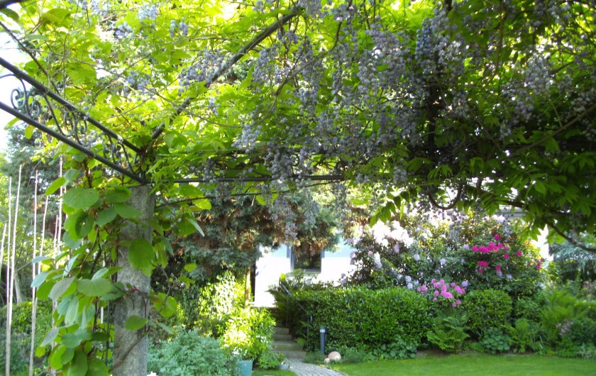 Location de vacances - Maison - Villa à Alsbach-Hähnlein - Jardin de fleurs