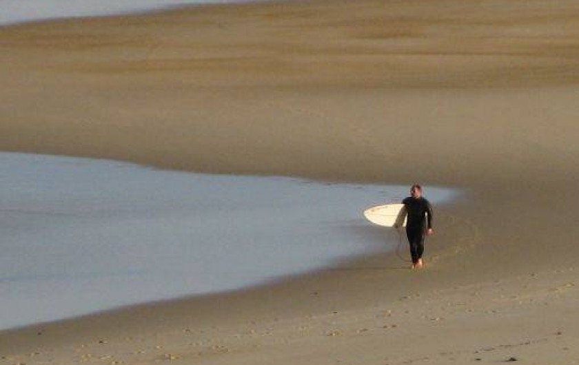 Location de vacances - Villa à Seignosse